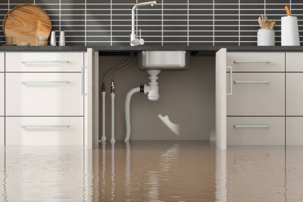 Best Water damage restoration services  in USA